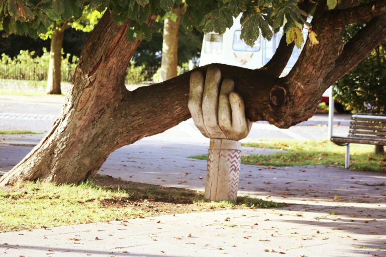 A photo of a tree being held up by aa hand made of wood as a symbol of support for anxiety and depression