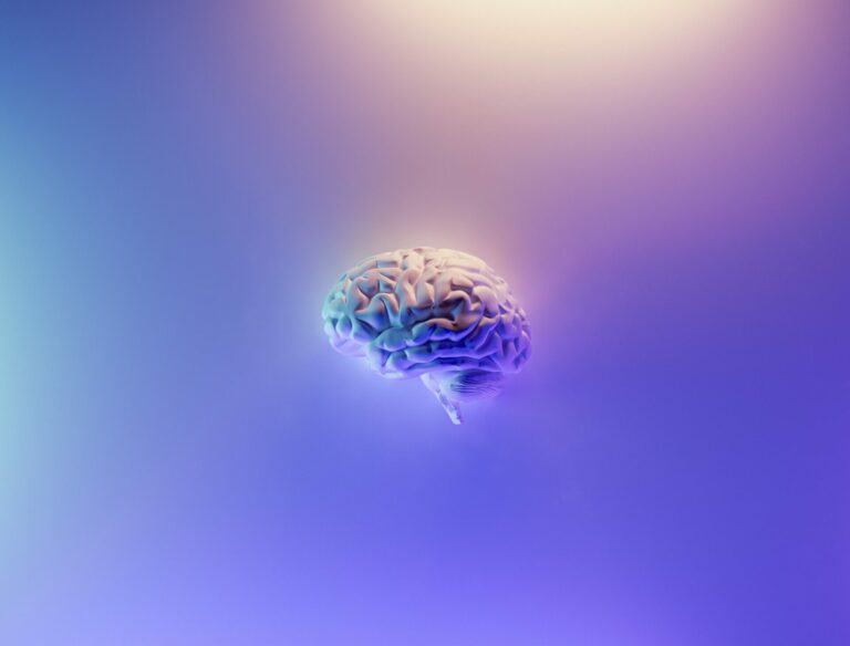 A photo of a brain, demonstrating an example of what a Highly Sensitive Person's brain may look like